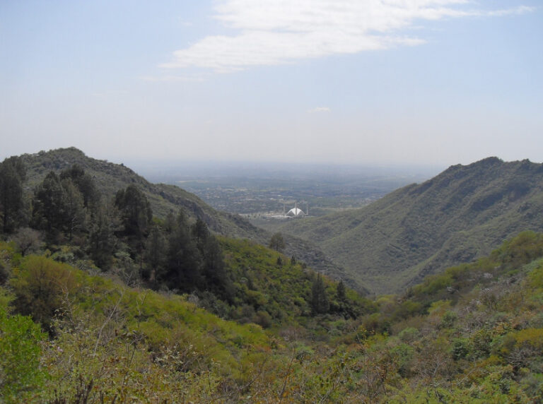 Margalla_Hills-768×572