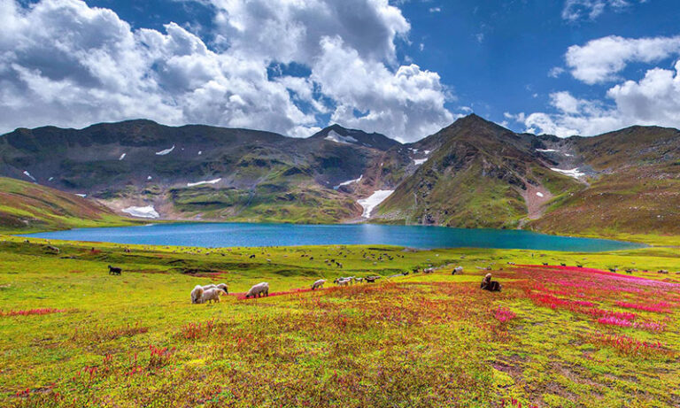 saif-ul-malook-1-768×461