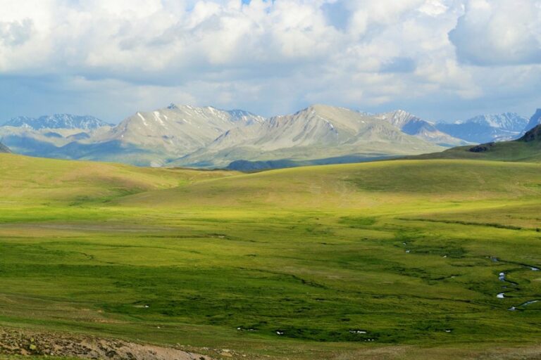 the-north-768×512